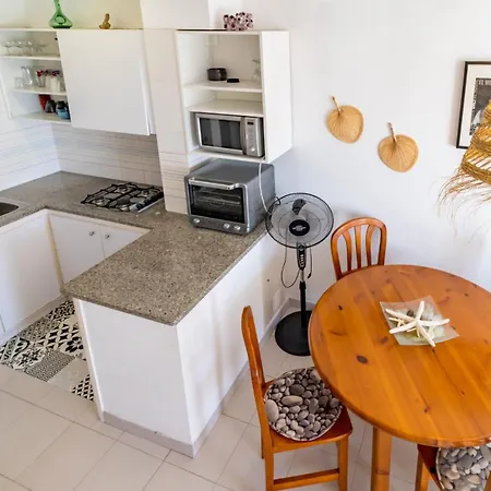 Grifeu 13.1 - Duplex Con 2 Terrazas Llança